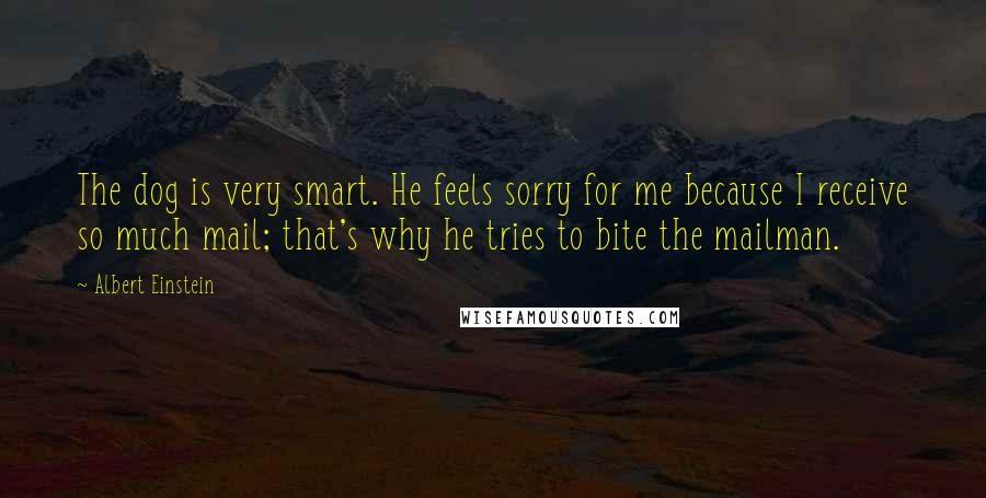 Albert Einstein Quotes: The dog is very smart. He feels sorry for me because I receive so much mail; that's why he tries to bite the mailman.