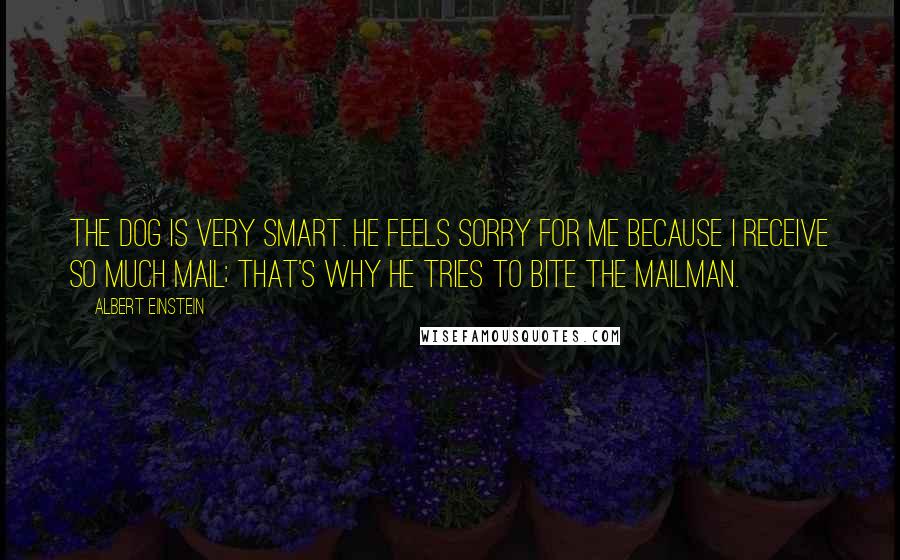 Albert Einstein Quotes: The dog is very smart. He feels sorry for me because I receive so much mail; that's why he tries to bite the mailman.