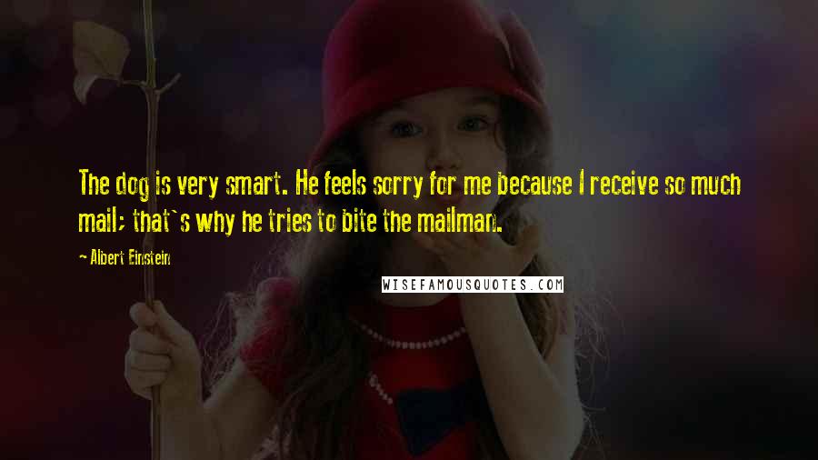 Albert Einstein Quotes: The dog is very smart. He feels sorry for me because I receive so much mail; that's why he tries to bite the mailman.