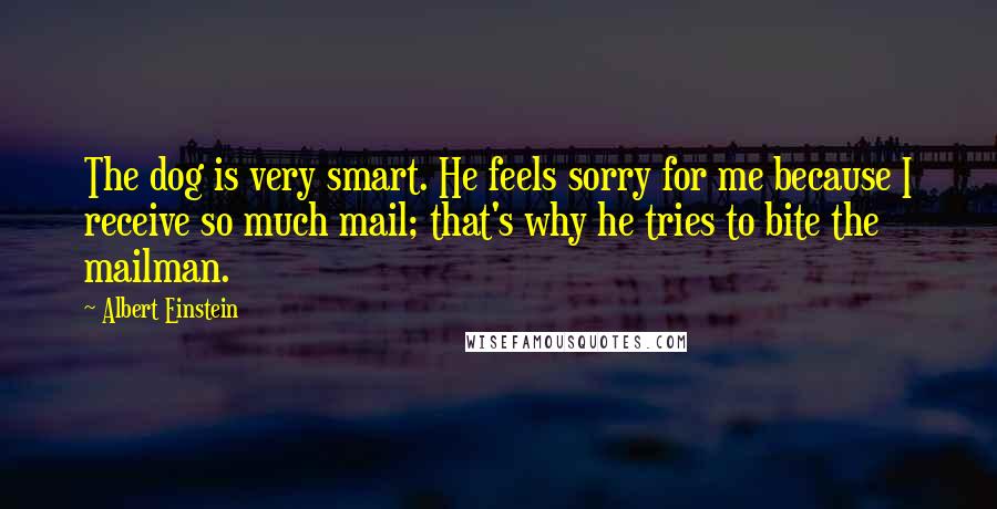 Albert Einstein Quotes: The dog is very smart. He feels sorry for me because I receive so much mail; that's why he tries to bite the mailman.