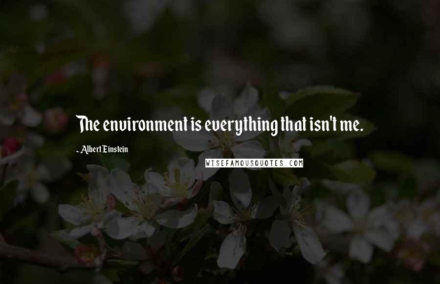 Albert Einstein Quotes: The environment is everything that isn't me.