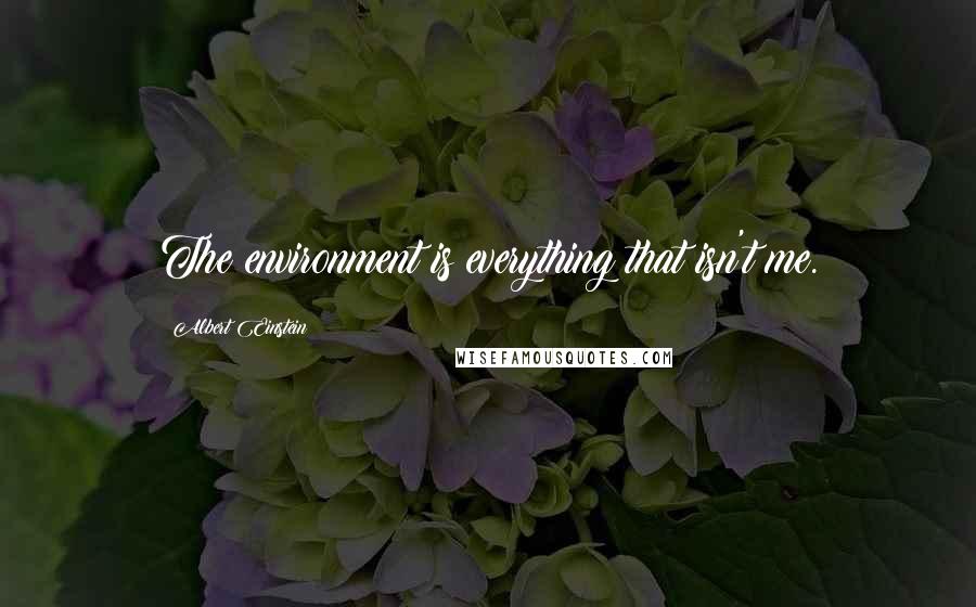 Albert Einstein Quotes: The environment is everything that isn't me.