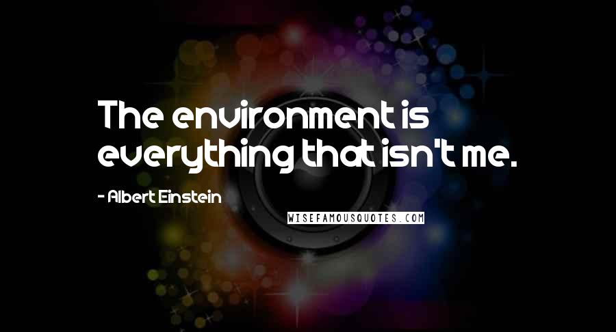 Albert Einstein Quotes: The environment is everything that isn't me.