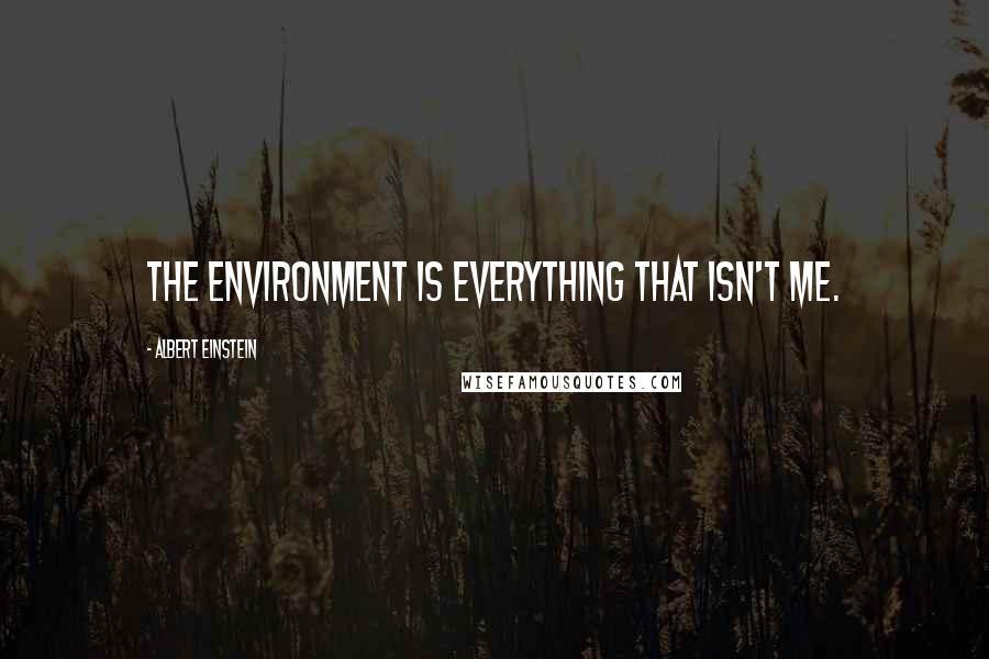 Albert Einstein Quotes: The environment is everything that isn't me.