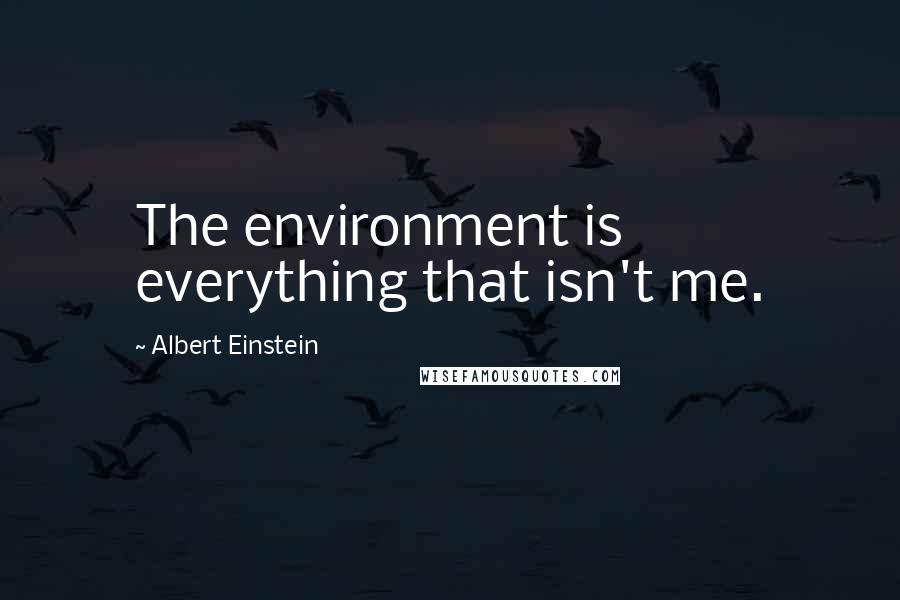 Albert Einstein Quotes: The environment is everything that isn't me.