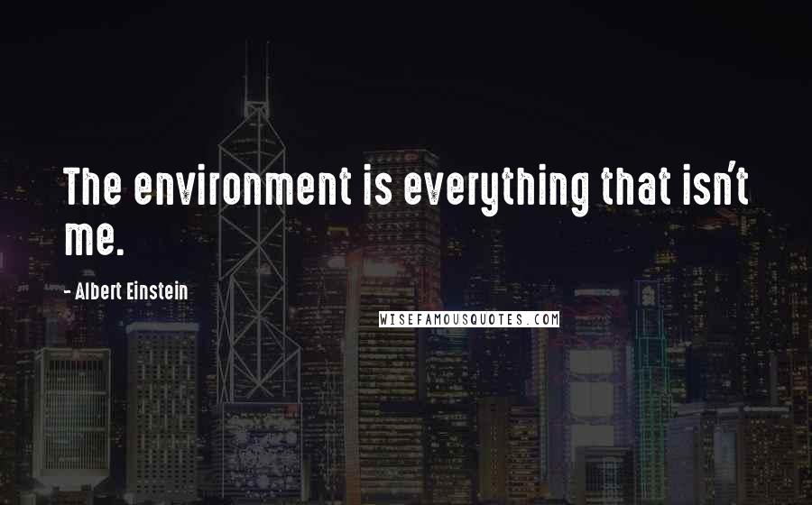 Albert Einstein Quotes: The environment is everything that isn't me.