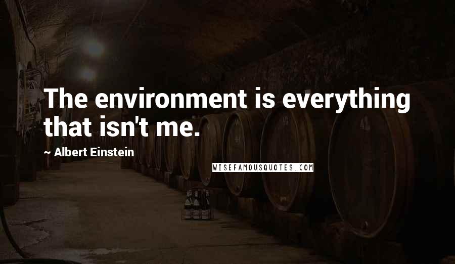 Albert Einstein Quotes: The environment is everything that isn't me.