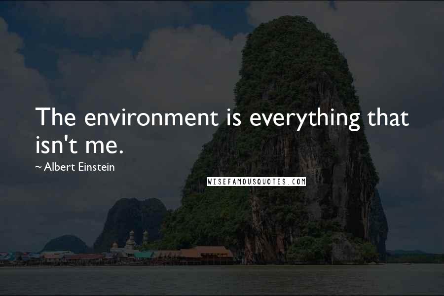 Albert Einstein Quotes: The environment is everything that isn't me.