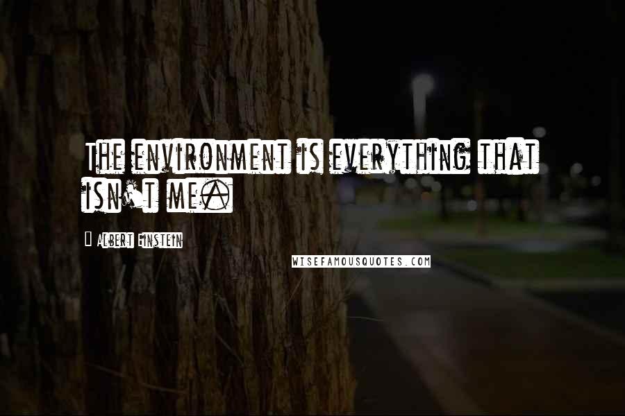Albert Einstein Quotes: The environment is everything that isn't me.