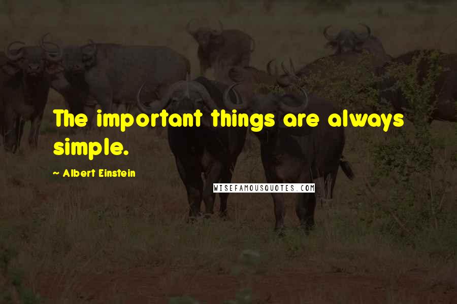 Albert Einstein Quotes: The important things are always simple.