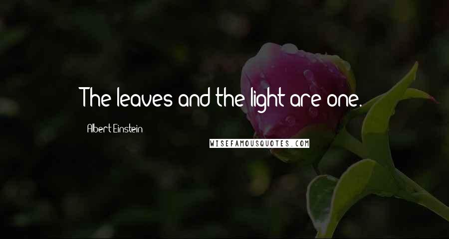 Albert Einstein Quotes: The leaves and the light are one.