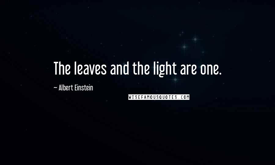 Albert Einstein Quotes: The leaves and the light are one.