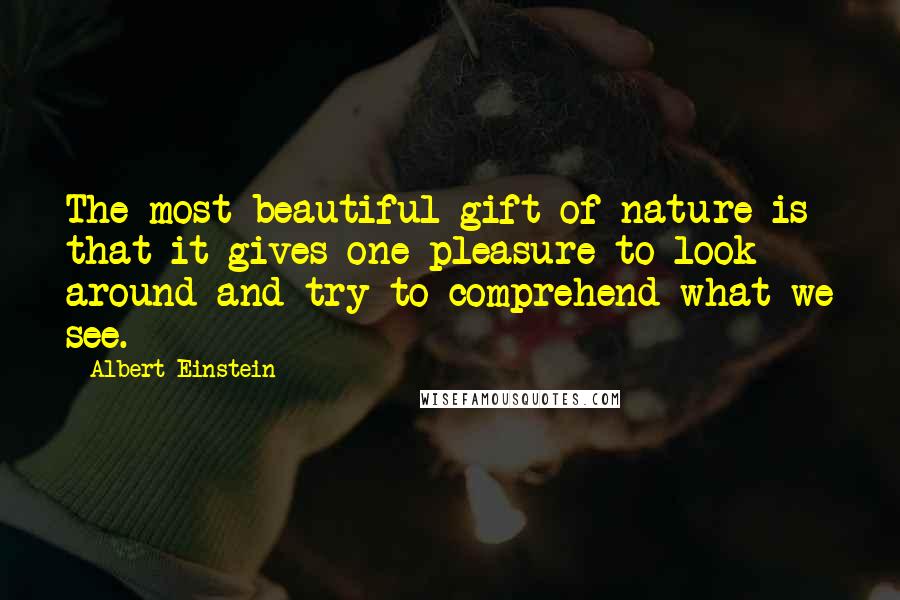 Albert Einstein Quotes: The most beautiful gift of nature is that it gives one pleasure to look around and try to comprehend what we see.
