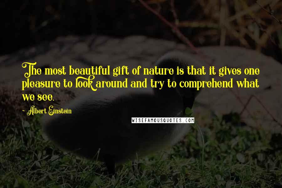 Albert Einstein Quotes: The most beautiful gift of nature is that it gives one pleasure to look around and try to comprehend what we see.