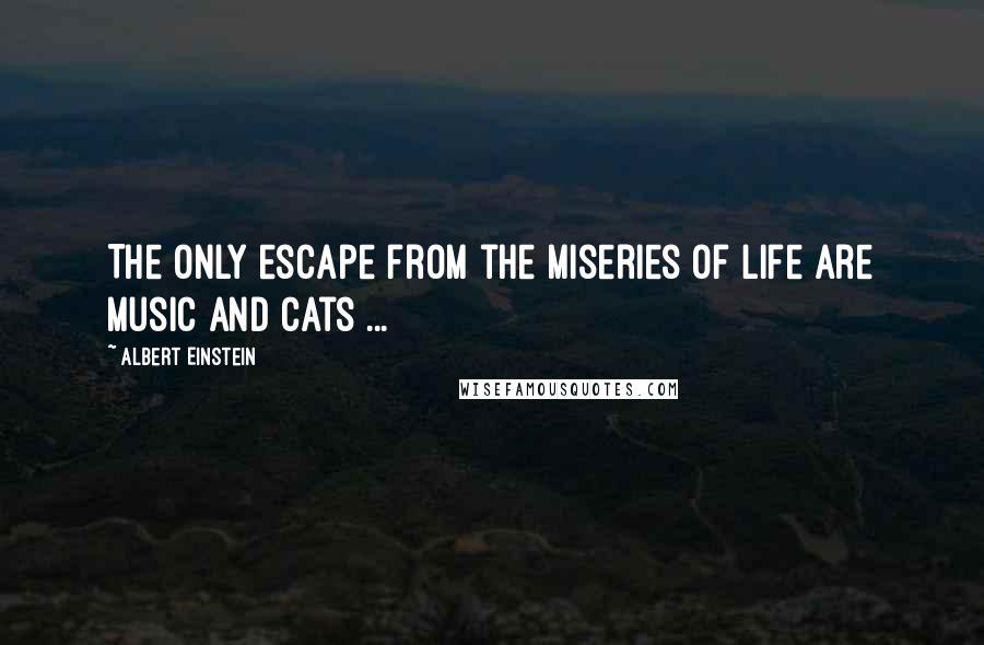 Albert Einstein Quotes: The only escape from the miseries of life are music and cats ...