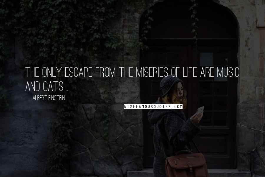 Albert Einstein Quotes: The only escape from the miseries of life are music and cats ...