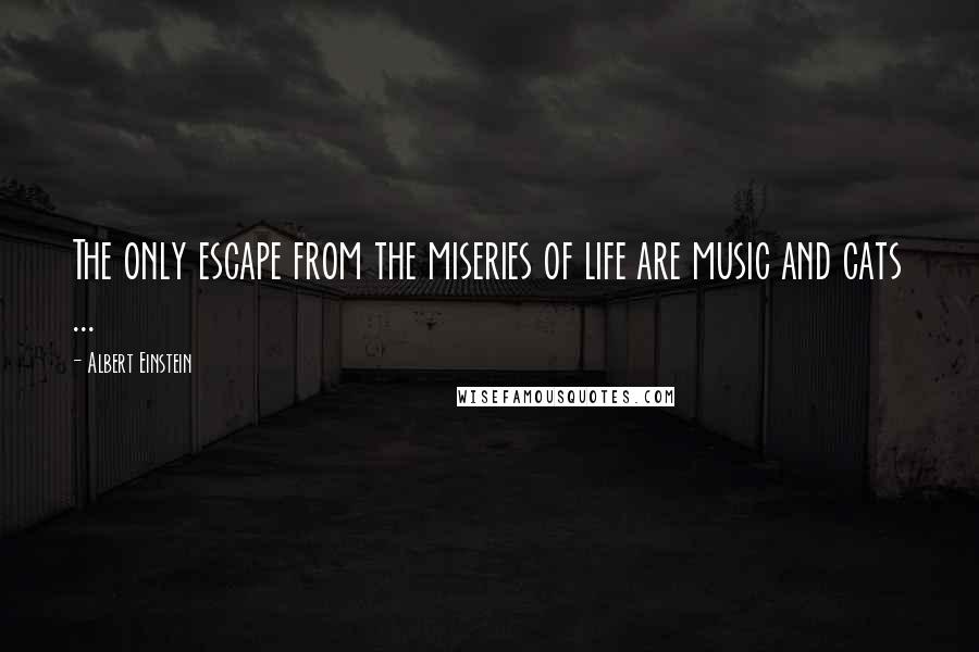 Albert Einstein Quotes: The only escape from the miseries of life are music and cats ...