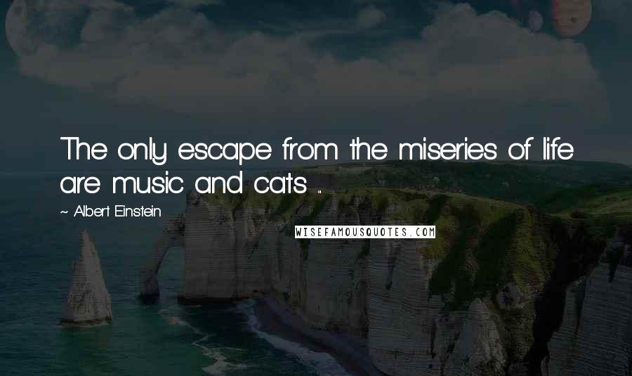 Albert Einstein Quotes: The only escape from the miseries of life are music and cats ...