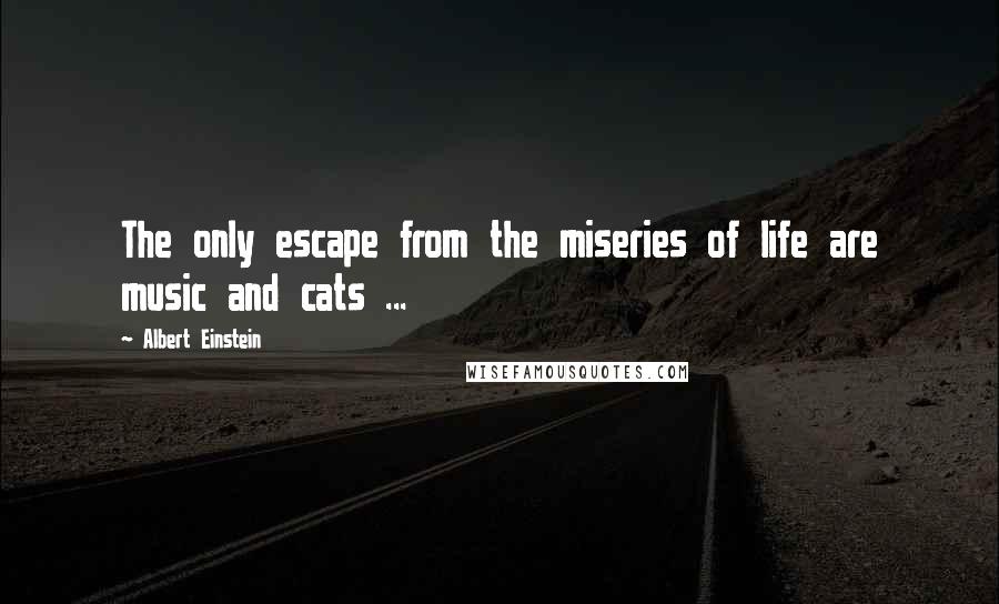 Albert Einstein Quotes: The only escape from the miseries of life are music and cats ...