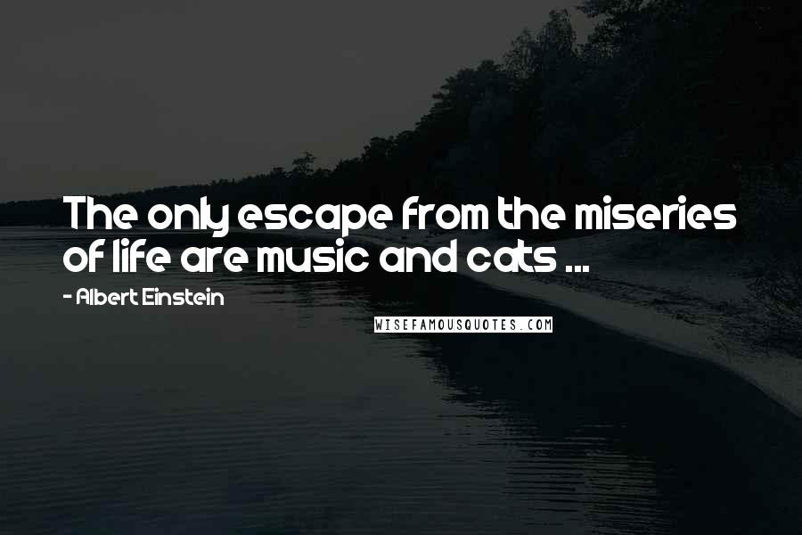 Albert Einstein Quotes: The only escape from the miseries of life are music and cats ...