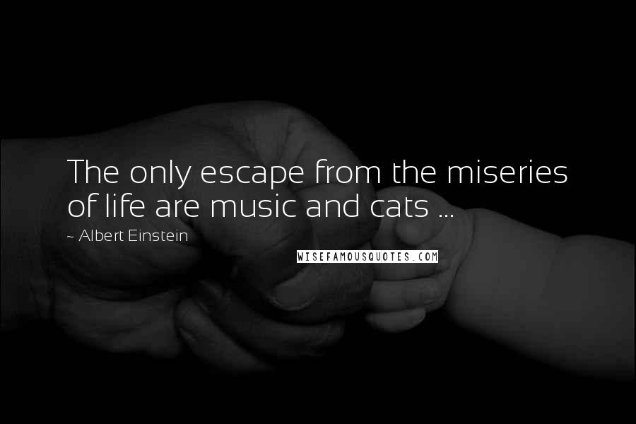 Albert Einstein Quotes: The only escape from the miseries of life are music and cats ...