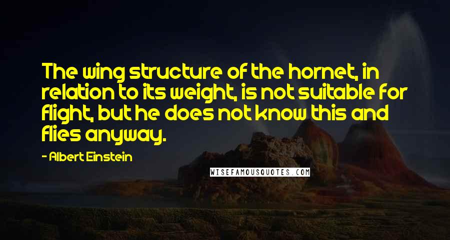 Albert Einstein Quotes: The wing structure of the hornet, in relation to its weight, is not suitable for flight, but he does not know this and flies anyway.