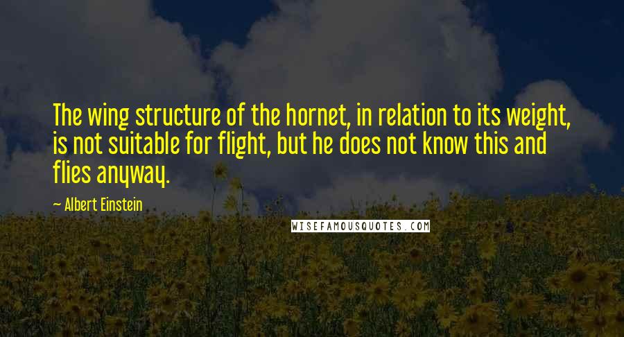 Albert Einstein Quotes: The wing structure of the hornet, in relation to its weight, is not suitable for flight, but he does not know this and flies anyway.