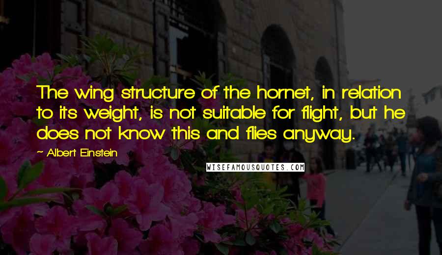 Albert Einstein Quotes: The wing structure of the hornet, in relation to its weight, is not suitable for flight, but he does not know this and flies anyway.