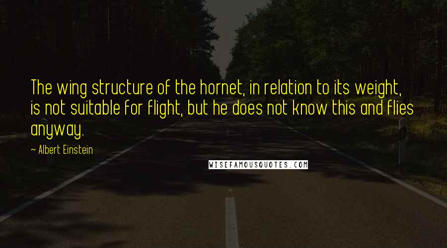 Albert Einstein Quotes: The wing structure of the hornet, in relation to its weight, is not suitable for flight, but he does not know this and flies anyway.