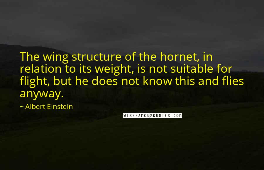 Albert Einstein Quotes: The wing structure of the hornet, in relation to its weight, is not suitable for flight, but he does not know this and flies anyway.