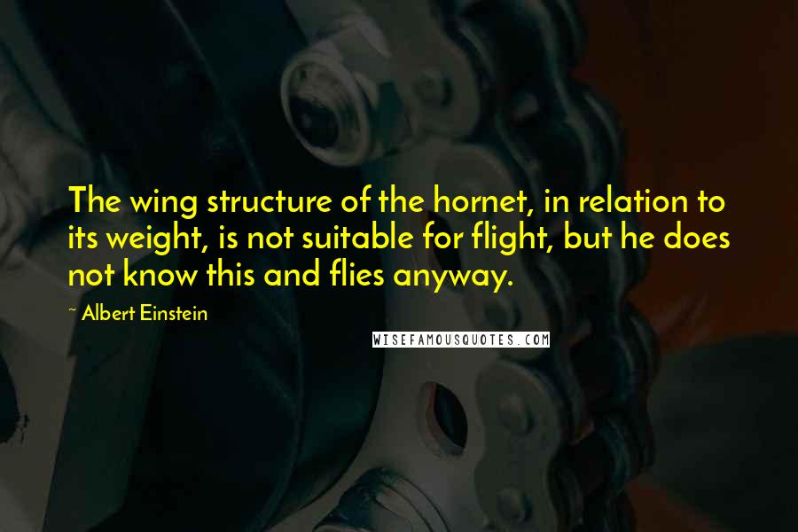 Albert Einstein Quotes: The wing structure of the hornet, in relation to its weight, is not suitable for flight, but he does not know this and flies anyway.