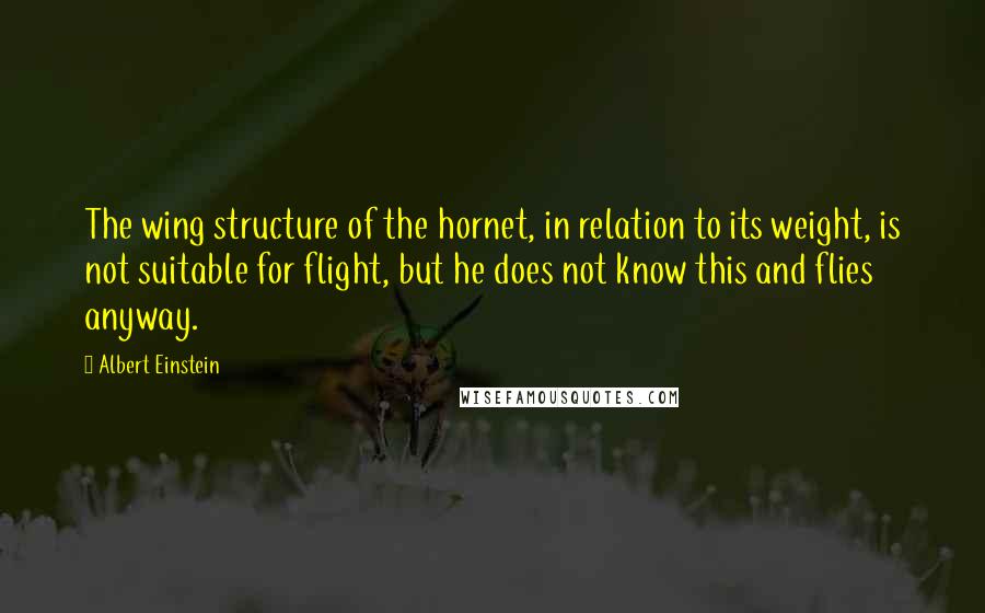 Albert Einstein Quotes: The wing structure of the hornet, in relation to its weight, is not suitable for flight, but he does not know this and flies anyway.