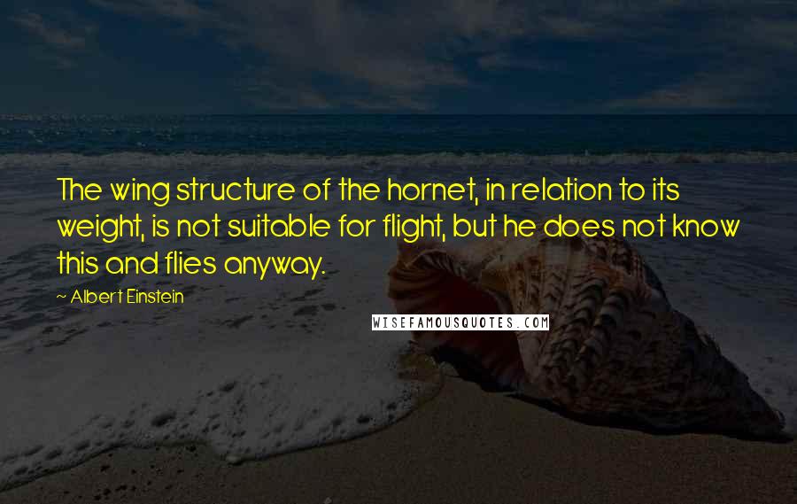 Albert Einstein Quotes: The wing structure of the hornet, in relation to its weight, is not suitable for flight, but he does not know this and flies anyway.