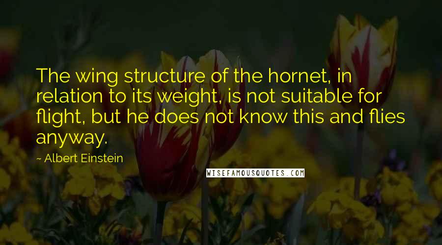 Albert Einstein Quotes: The wing structure of the hornet, in relation to its weight, is not suitable for flight, but he does not know this and flies anyway.