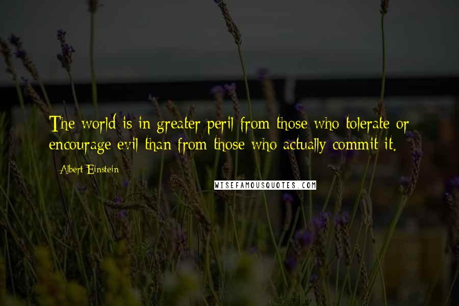 Albert Einstein Quotes: The world is in greater peril from those who tolerate or encourage evil than from those who actually commit it.