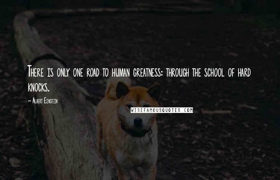 Albert Einstein Quotes: There is only one road to human greatness: through the school of hard knocks.