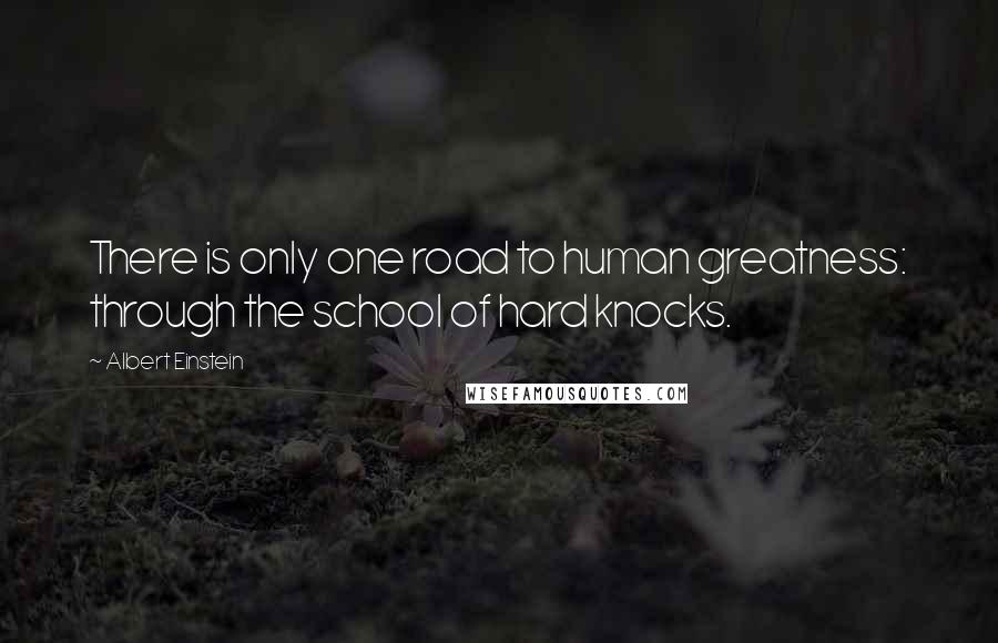Albert Einstein Quotes: There is only one road to human greatness: through the school of hard knocks.