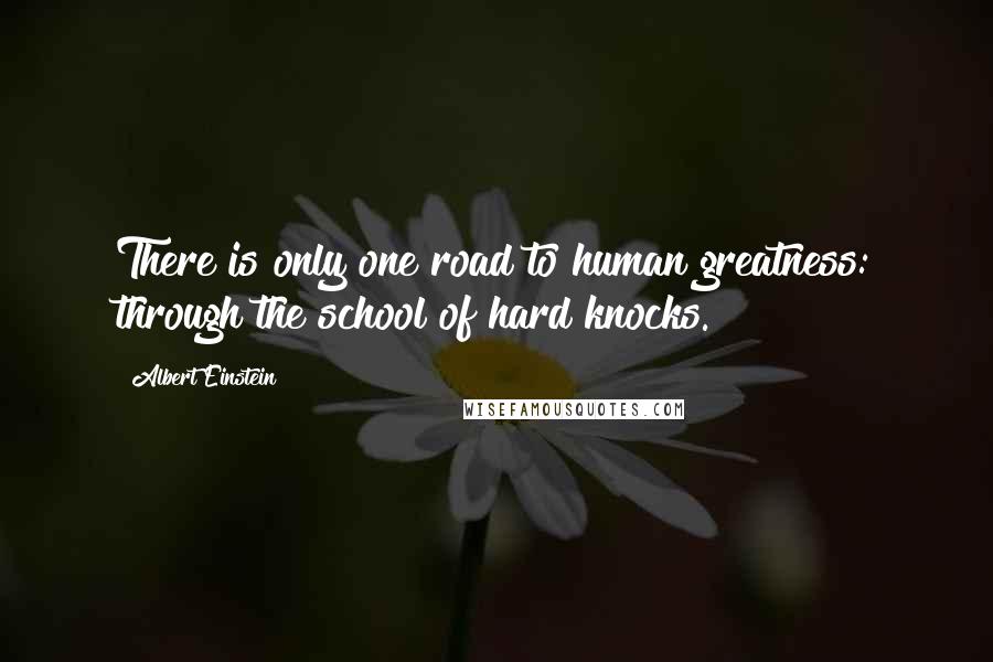 Albert Einstein Quotes: There is only one road to human greatness: through the school of hard knocks.