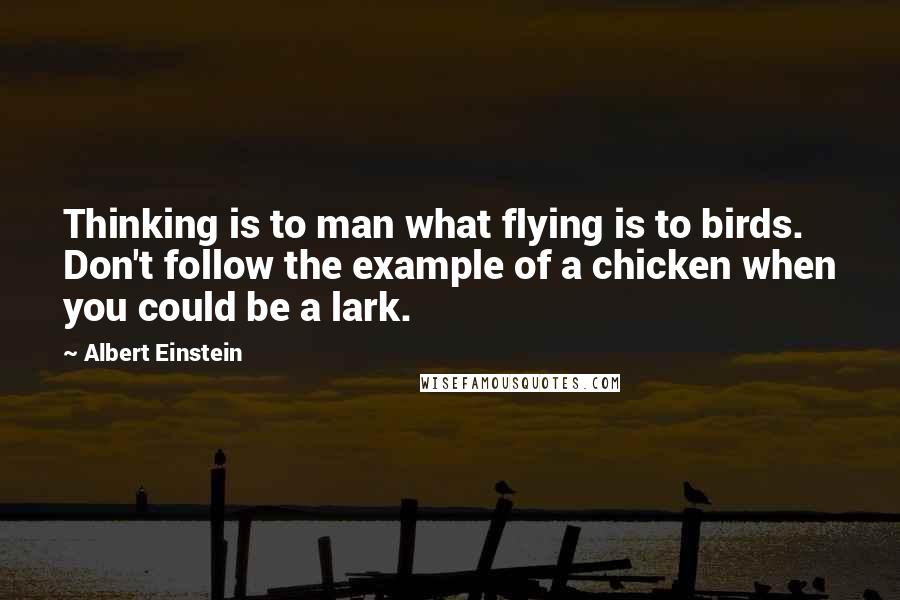 Albert Einstein Quotes: Thinking is to man what flying is to birds. Don't follow the example of a chicken when you could be a lark.