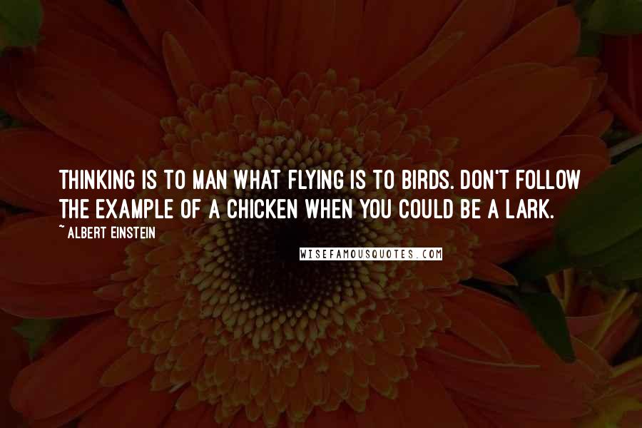 Albert Einstein Quotes: Thinking is to man what flying is to birds. Don't follow the example of a chicken when you could be a lark.