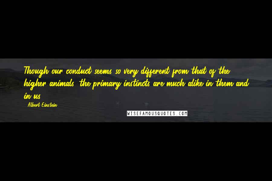 Albert Einstein Quotes: Though our conduct seems so very different from that of the higher animals, the primary instincts are much alike in them and in us.
