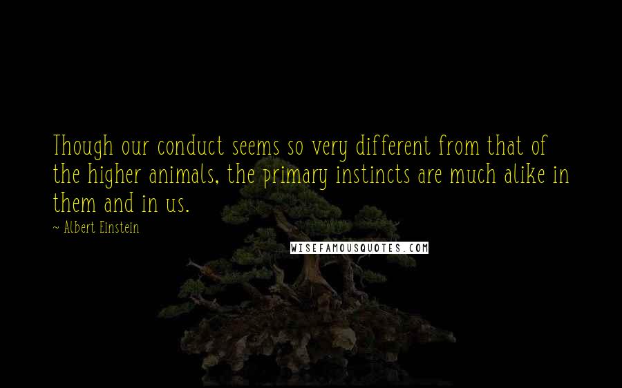 Albert Einstein Quotes: Though our conduct seems so very different from that of the higher animals, the primary instincts are much alike in them and in us.