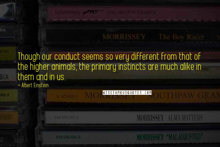 Albert Einstein Quotes: Though our conduct seems so very different from that of the higher animals, the primary instincts are much alike in them and in us.