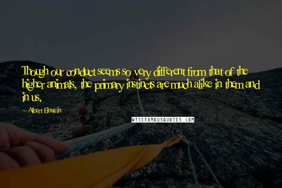 Albert Einstein Quotes: Though our conduct seems so very different from that of the higher animals, the primary instincts are much alike in them and in us.