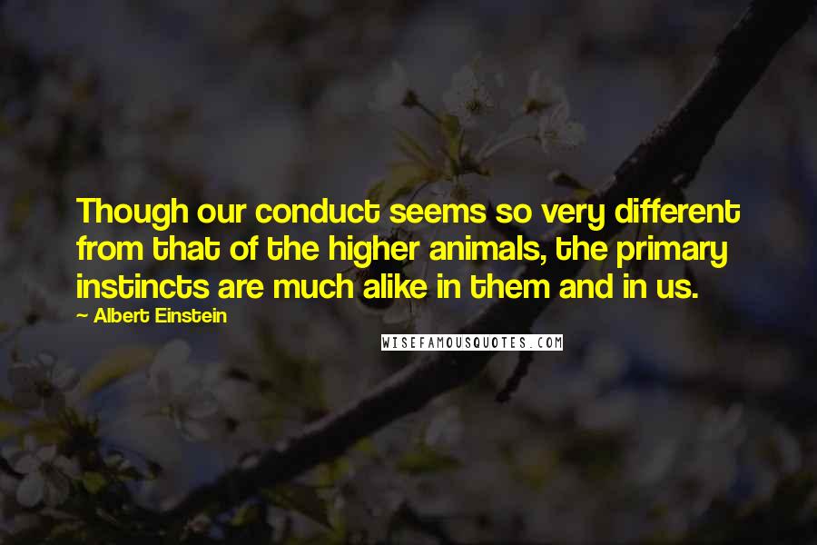 Albert Einstein Quotes: Though our conduct seems so very different from that of the higher animals, the primary instincts are much alike in them and in us.