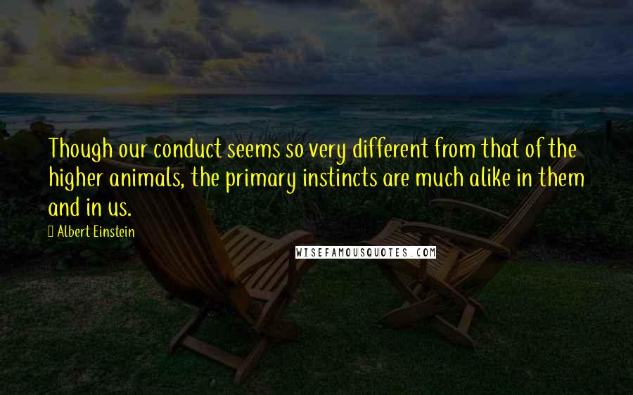 Albert Einstein Quotes: Though our conduct seems so very different from that of the higher animals, the primary instincts are much alike in them and in us.