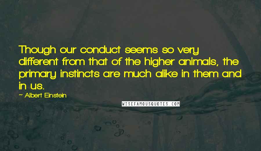 Albert Einstein Quotes: Though our conduct seems so very different from that of the higher animals, the primary instincts are much alike in them and in us.