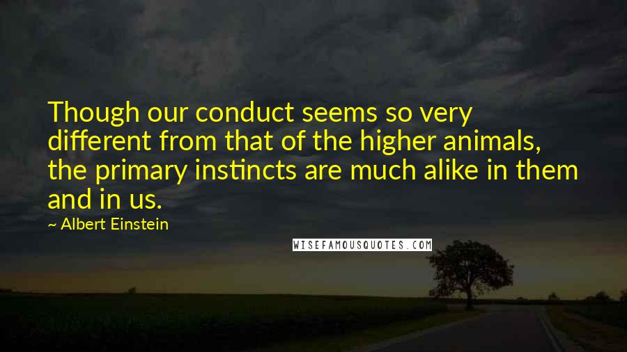 Albert Einstein Quotes: Though our conduct seems so very different from that of the higher animals, the primary instincts are much alike in them and in us.