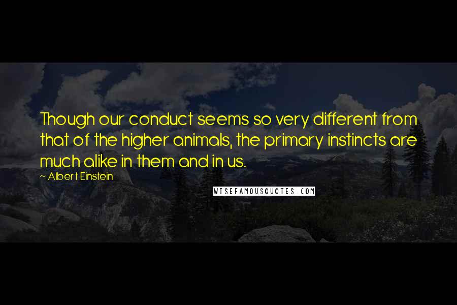 Albert Einstein Quotes: Though our conduct seems so very different from that of the higher animals, the primary instincts are much alike in them and in us.