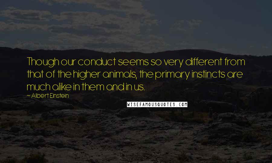 Albert Einstein Quotes: Though our conduct seems so very different from that of the higher animals, the primary instincts are much alike in them and in us.